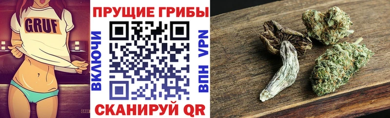 Галлюциногенные грибы Psilocybe  kraken tor  Тетюши 
